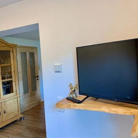 In Neukirchen Near Arena Wildkogel *