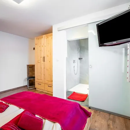 In Neukirchen Near Arena Wildkogel * Нойкирхен-ам-Гросфенедигер