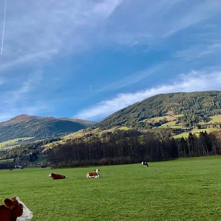 In Neukirchen Near Arena Wildkogel Апартаменты *