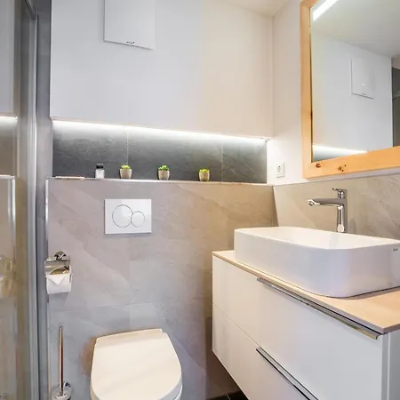 In Neukirchen Near Arena Wildkogel * Нойкирхен-ам-Гросфенедигер