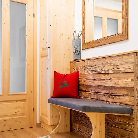 In Neukirchen Near Arena Wildkogel * Нойкирхен-ам-Гросфенедигер