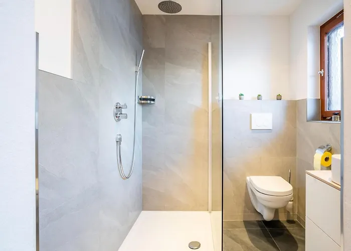 In Neukirchen Near Arena Wildkogel *