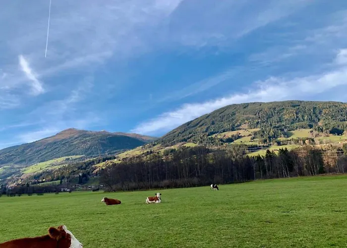 In Neukirchen Near Arena Wildkogel 公寓 *